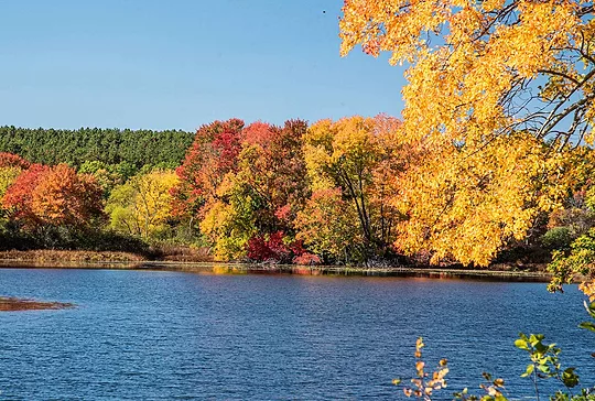 Warner-Pond-in-fall.jpg Warner-Pond-in-fall.jpg