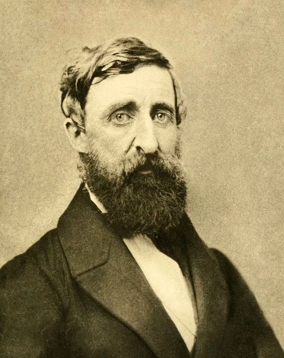 Henry_David_Thoreau_-_Dunshee_ambrotype_1861.jpg