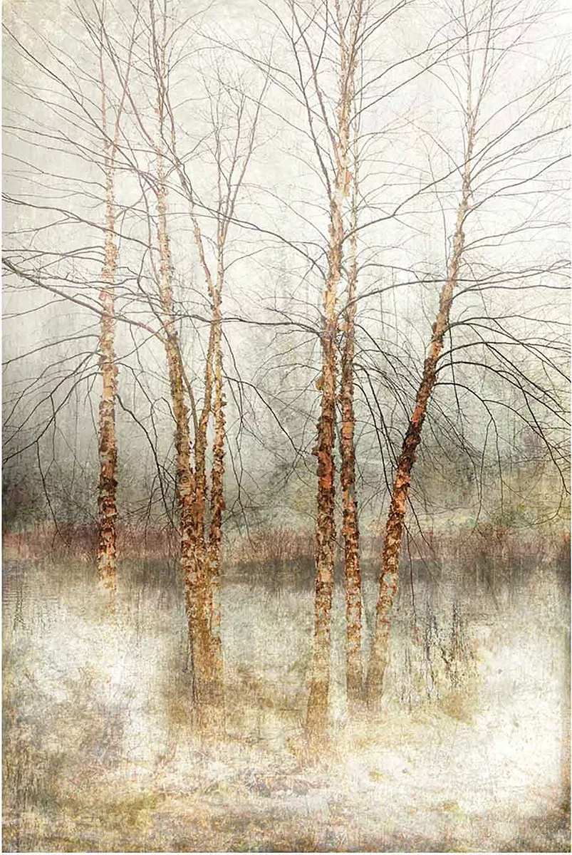 Kocak_River-Birch-1_pastel_36x24.jpg