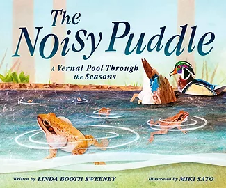 The-Noisy-Puddle.jpg
