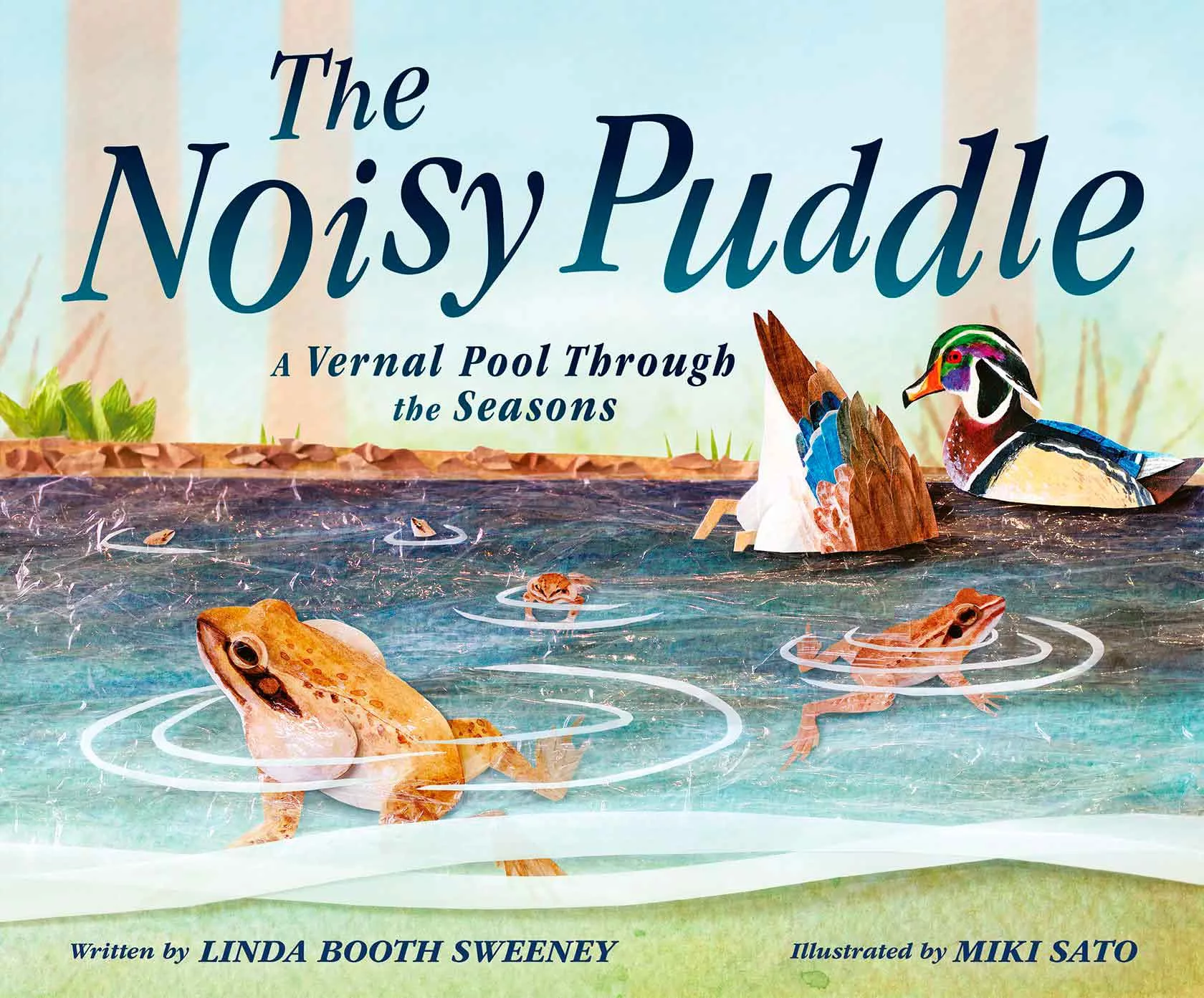 The noisy puddle