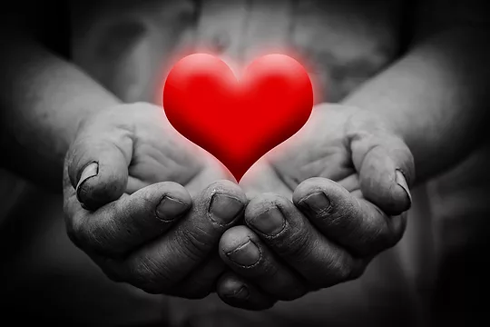 iStock-491172364 (1).jpg