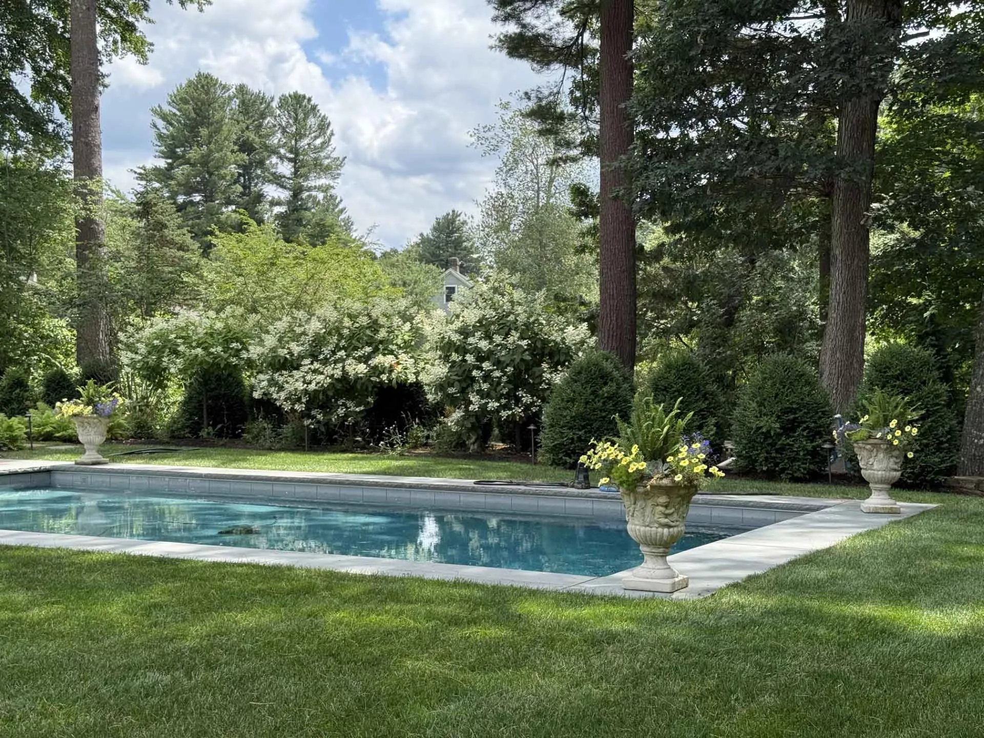 615f3c5a 320a 4a74 8392 67a6e76d321c