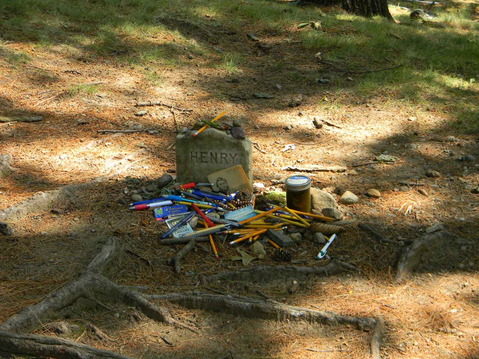 Grave_of_Henry_David_Thoreau_at_Sleepy_Hollow_Cemetery.jpg