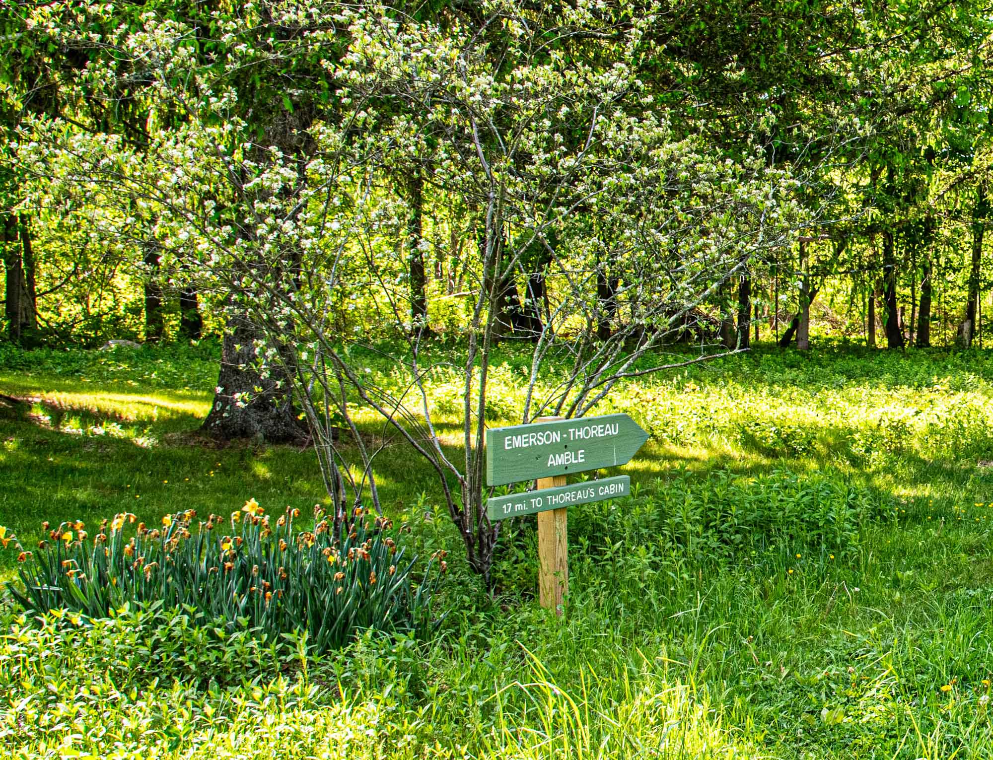 Emerson-Amble-sign.jpg