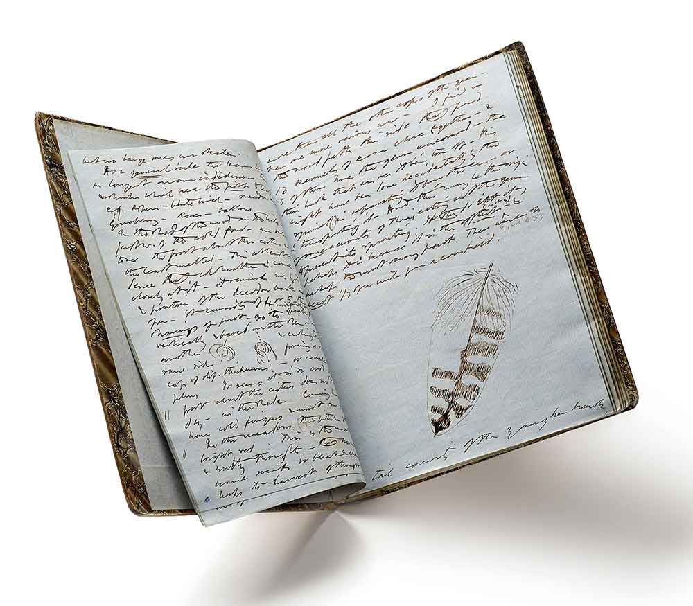 Thoreau-Journal-Entry-2.jpg