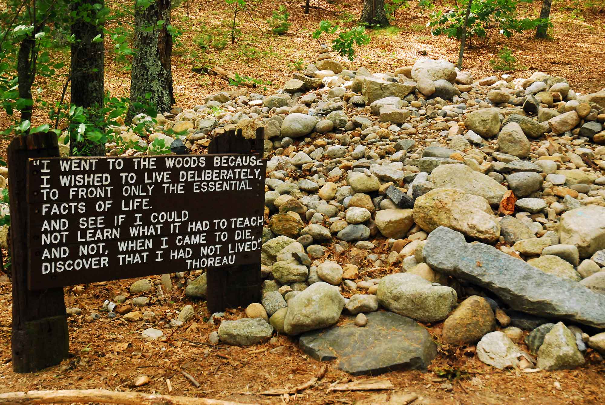 Walden-Pond-istock-Kirkikis.jpg