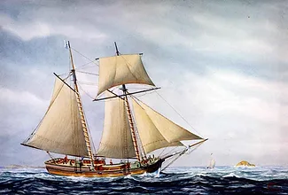 1-Sloop-Hannah.jpg 1-Sloop-Hannah.jpg