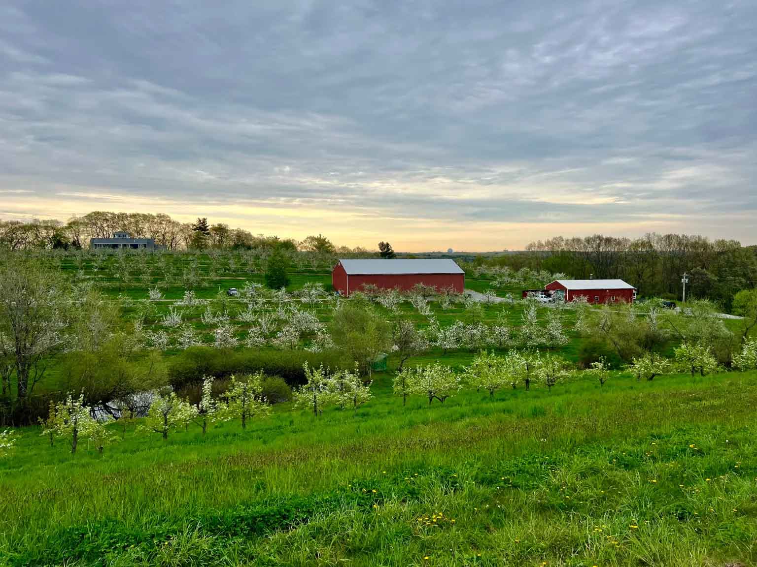 Autumn-Hills-Orchard.jpg