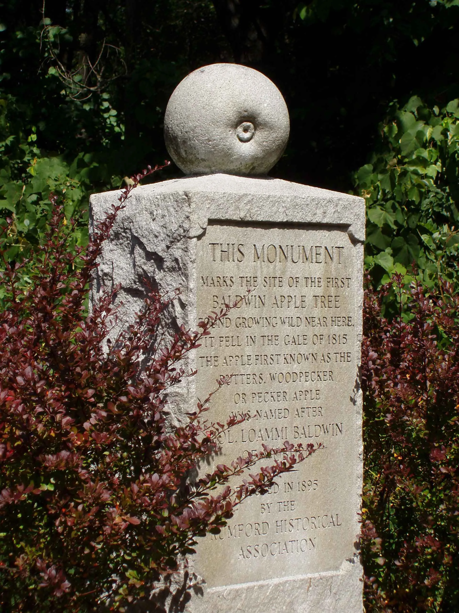 Baldwin apple monument wilmington massachusetts wikimedia
