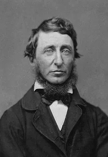 Henry_David_Thoreau_-_ Benjamin_D._Maxham_-_Henry_David_Thoreau_-_Restored_-_greyscale_-_straightened.jpg
