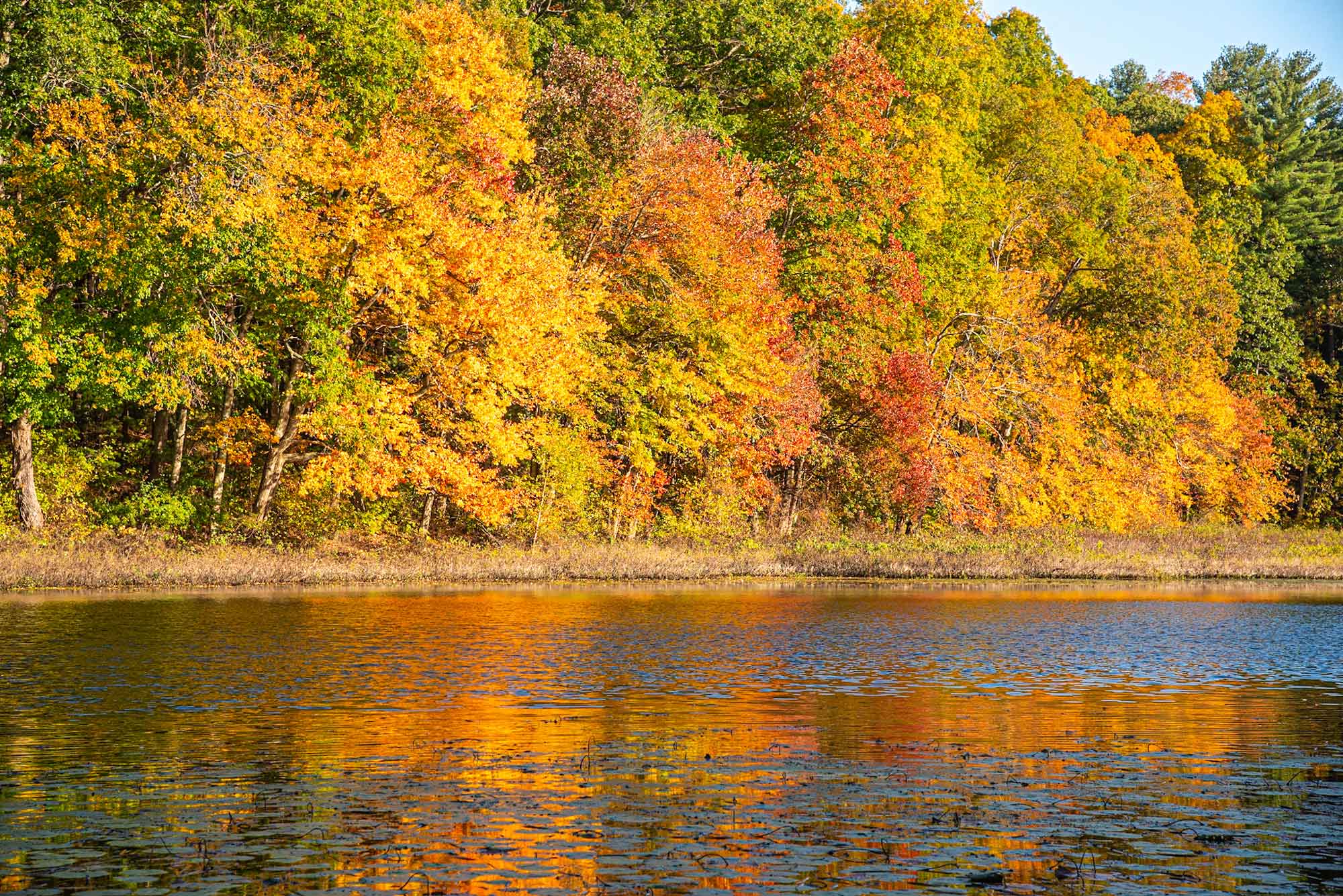 Reflection-on-Water.jpg
