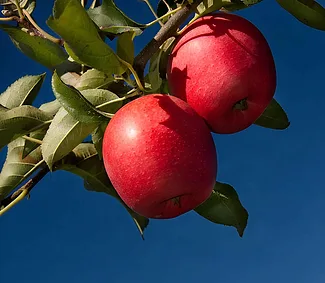 iStock-173016407- iStock-173016407-ai-modified-385cc351-ca4e-4ad1-a264-62c74925f553-hi-res.jpg
