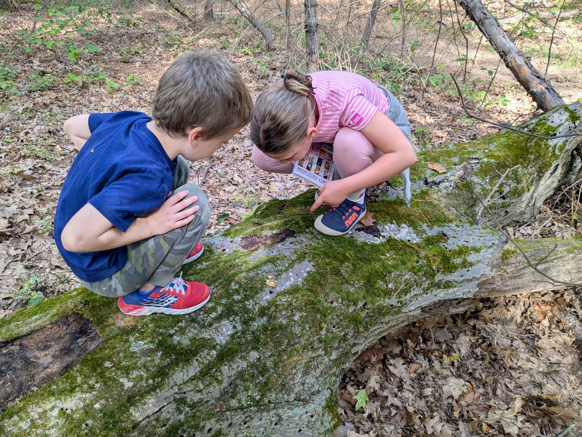 Kids-Naturally-Pic-2026.jpg