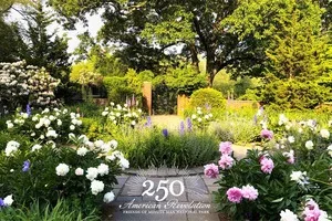 Buttrick Gardens Online Lecture: Blooms at the Edge of the Battlefield