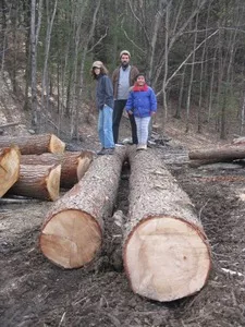 "Slow Wood: Greener Building from Local Forests" with Brian Donahue